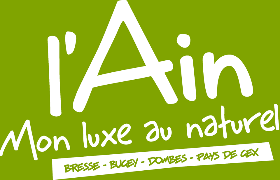 Logo_ain_white