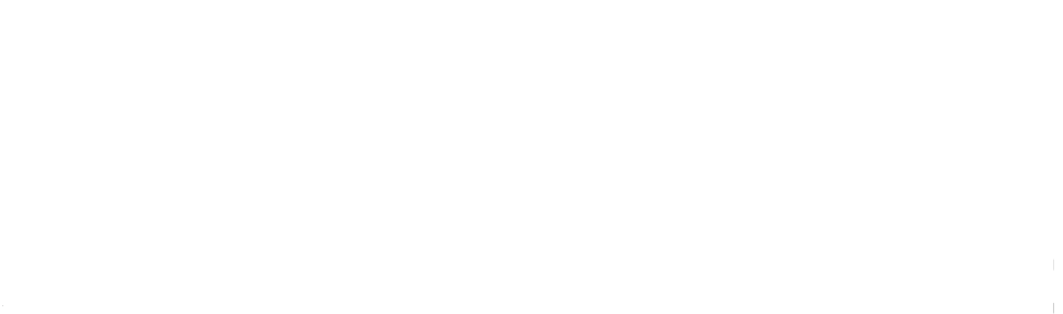 Logo_hotentic_white